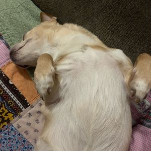 Meet your Posher, Travis